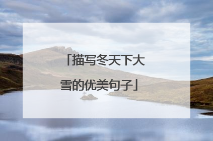 描写冬天下大雪的优美句子