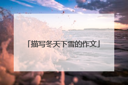 描写冬天下雪的作文