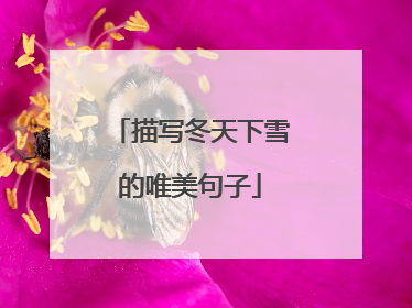 描写冬天下雪的唯美句子