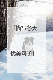 描写冬天优美句子