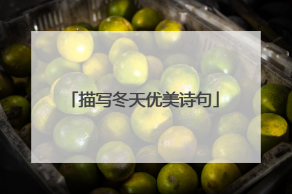 描写冬天优美诗句