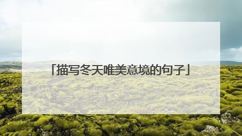 描写冬天唯美意境的句子