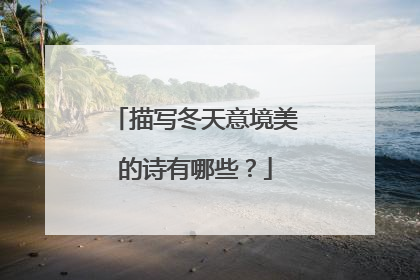 描写冬天意境美的诗有哪些?