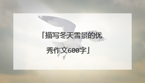 描写冬天雪景的优秀作文600字
