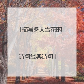 描写冬天雪花的诗句经典诗句