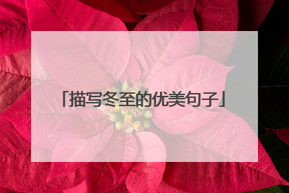 描写冬至的优美句子