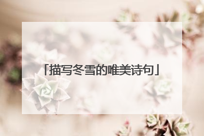 描写冬雪的唯美诗句