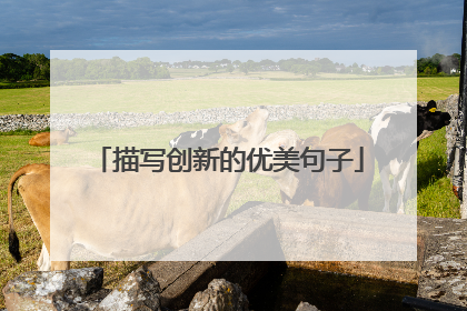 描写创新的优美句子