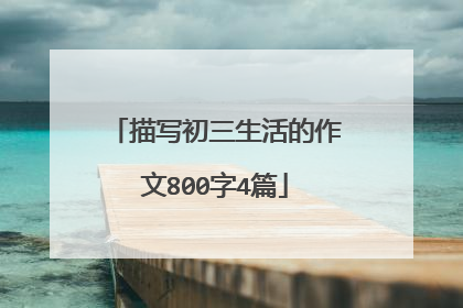 描写初三生活的作文800字4篇