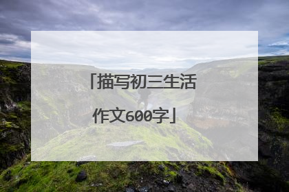 描写初三生活作文600字