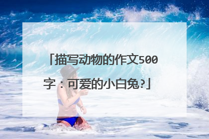 描写动物的作文500字:可爱的小白兔?