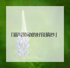 描写劳动的好段摘抄