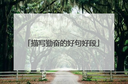 描写勤奋的好句好段