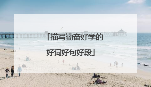 描写勤奋好学的好词好句好段