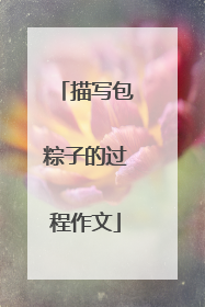 描写包粽子的过程作文