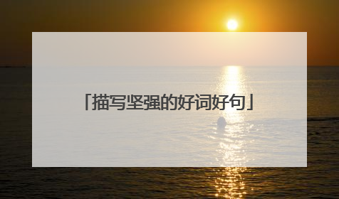 描写坚强的好词好句