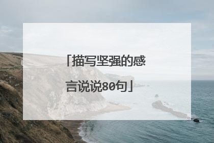描写坚强的感言说说80句