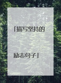 描写坚持的励志句子