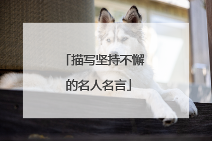 描写坚持不懈的名人名言