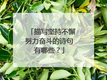 描写坚持不懈努力奋斗的诗句有哪些？