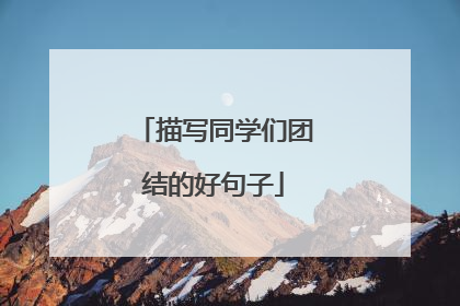 描写同学们团结的好句子