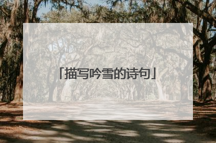 描写吟雪的诗句