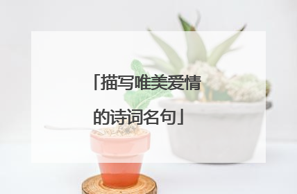 描写唯美爱情的诗词名句