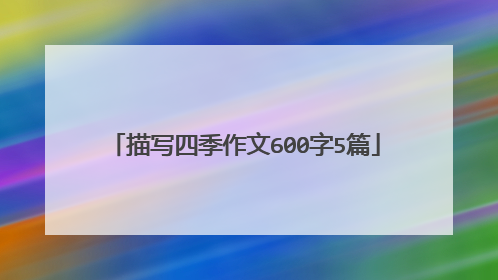 描写四季作文600字5篇