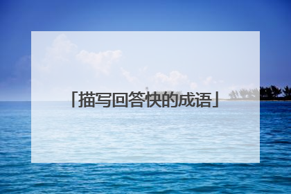 描写回答快的成语