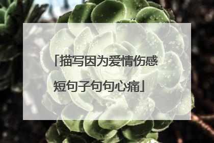 描写因为爱情伤感短句子句句心痛