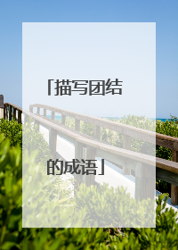 描写团结的成语