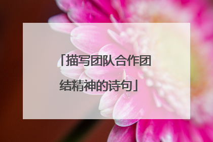 描写团队合作团结精神的诗句