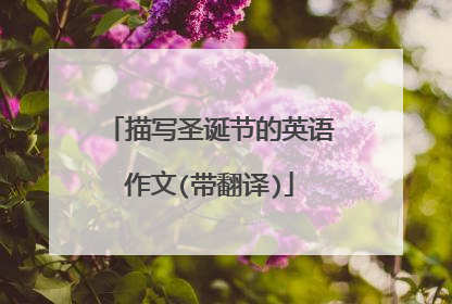 描写圣诞节的英语作文(带翻译)