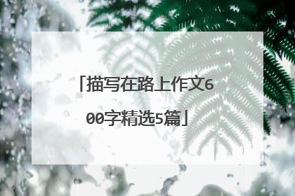 描写在路上作文600字精选5篇