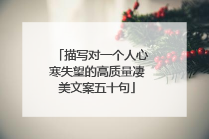 描写对一个人心寒失望的高质量凄美文案五十句