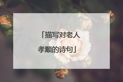 描写对老人孝顺的诗句