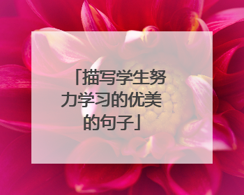 描写学生努力学习的优美的句子