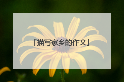 描写家乡的作文