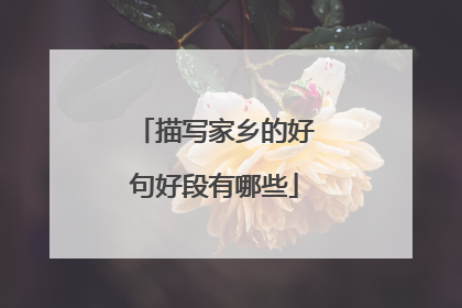 描写家乡的好句好段有哪些