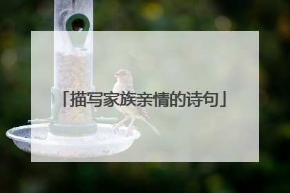 描写家族亲情的诗句