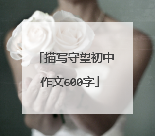 描写守望初中作文600字