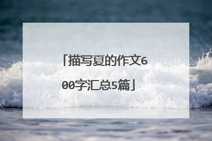 描写夏的作文600字汇总5篇