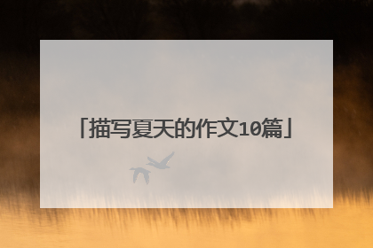描写夏天的作文10篇