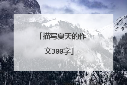 描写夏天的作文300字