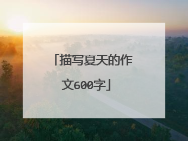 描写夏天的作文600字