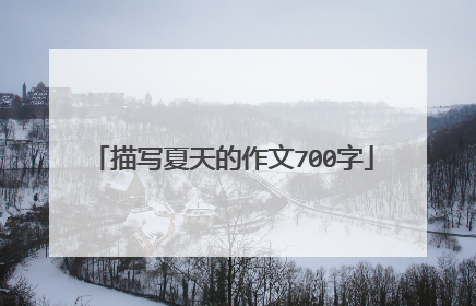 描写夏天的作文700字
