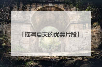 描写夏天的优美片段