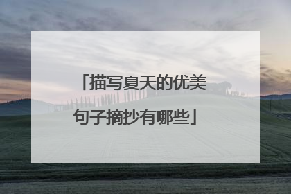 描写夏天的优美句子摘抄有哪些