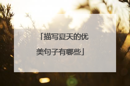 描写夏天的优美句子有哪些