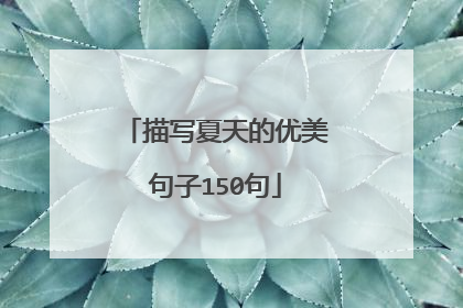 描写夏天的优美句子150句